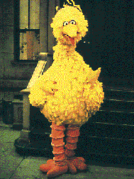 BigBird